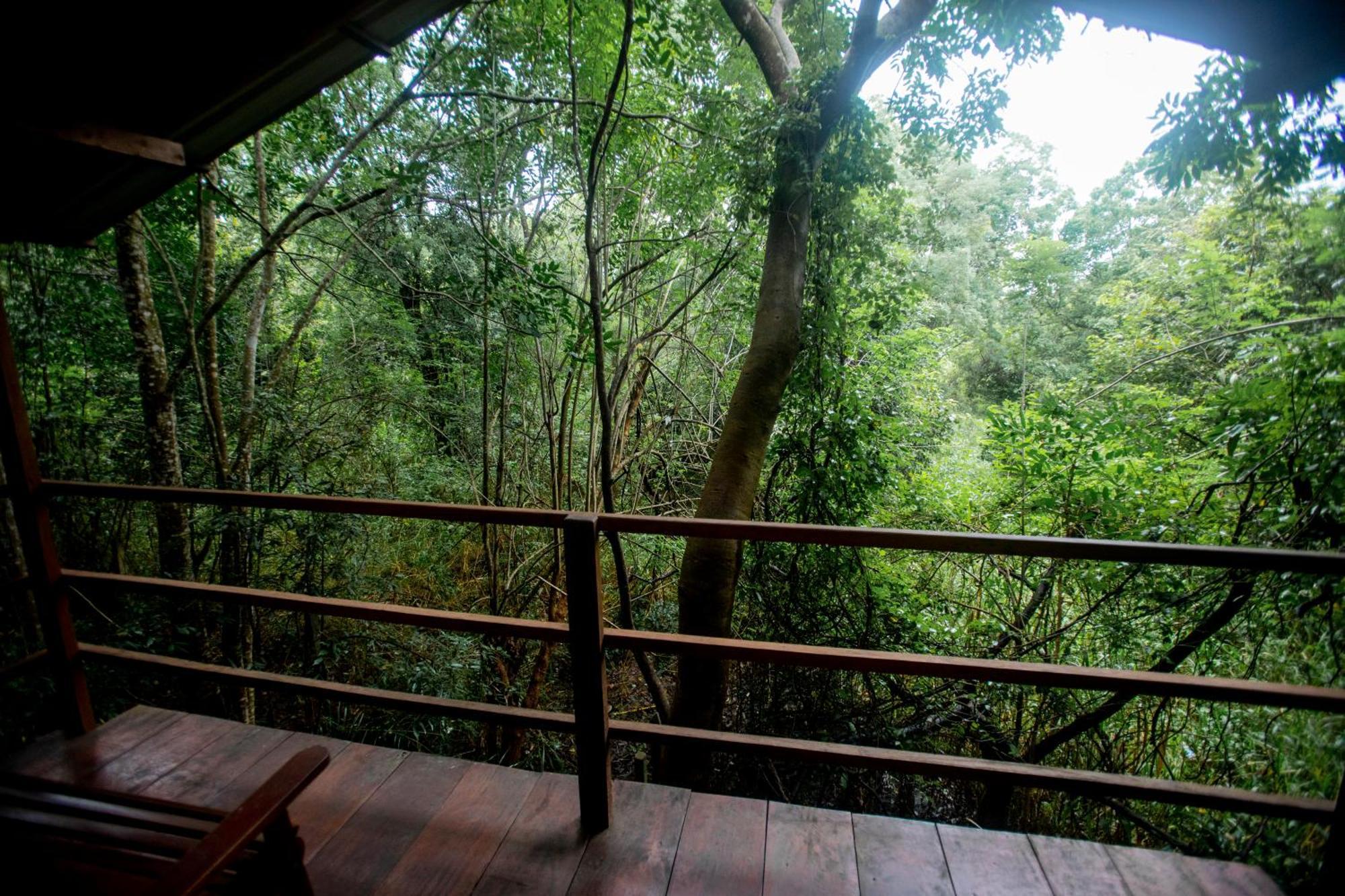 Inn On The Tree Eco Resort Sigiriya Kibissa Zewnętrze zdjęcie