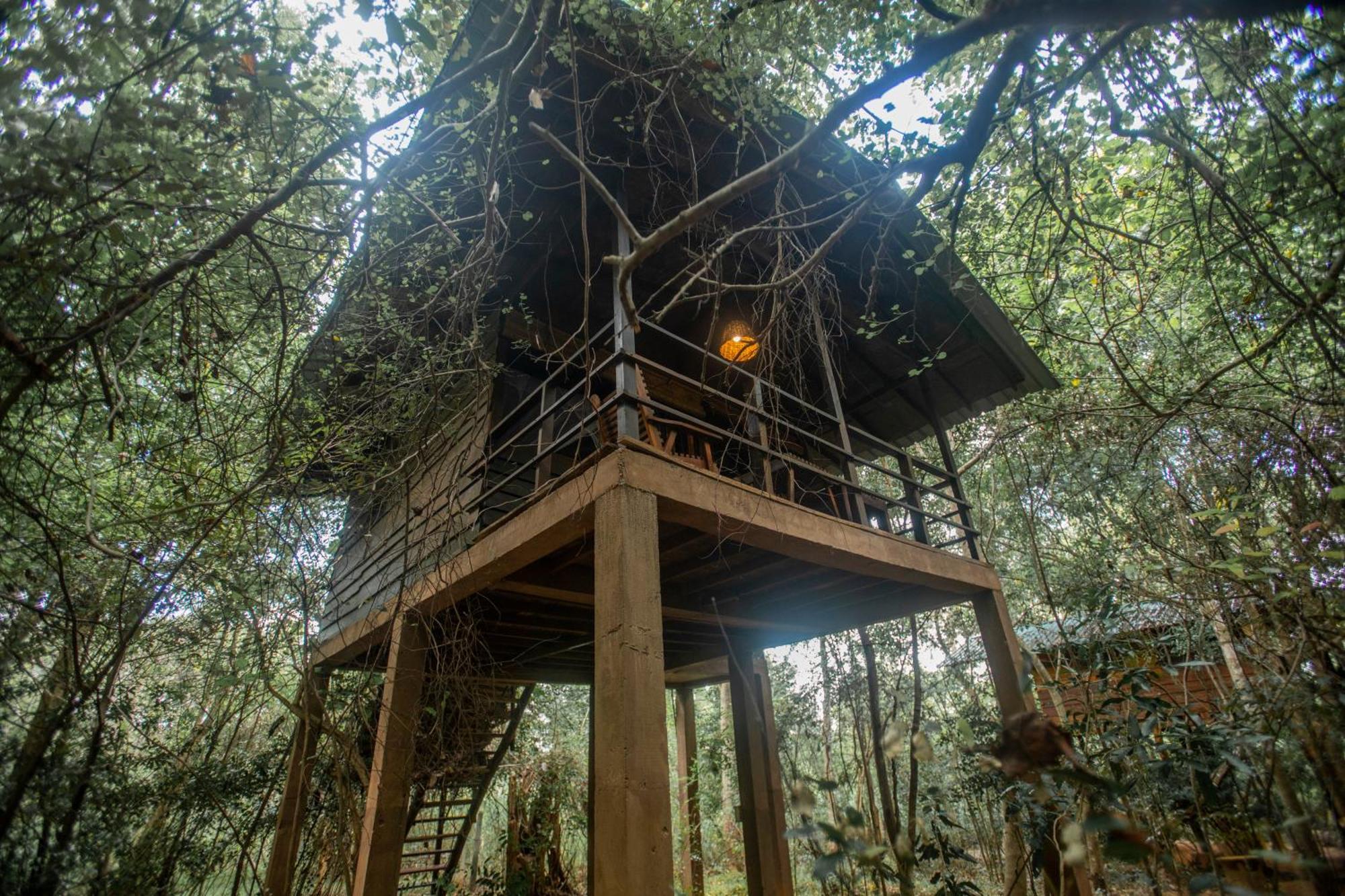 Inn On The Tree Eco Resort Sigiriya Kibissa Zewnętrze zdjęcie