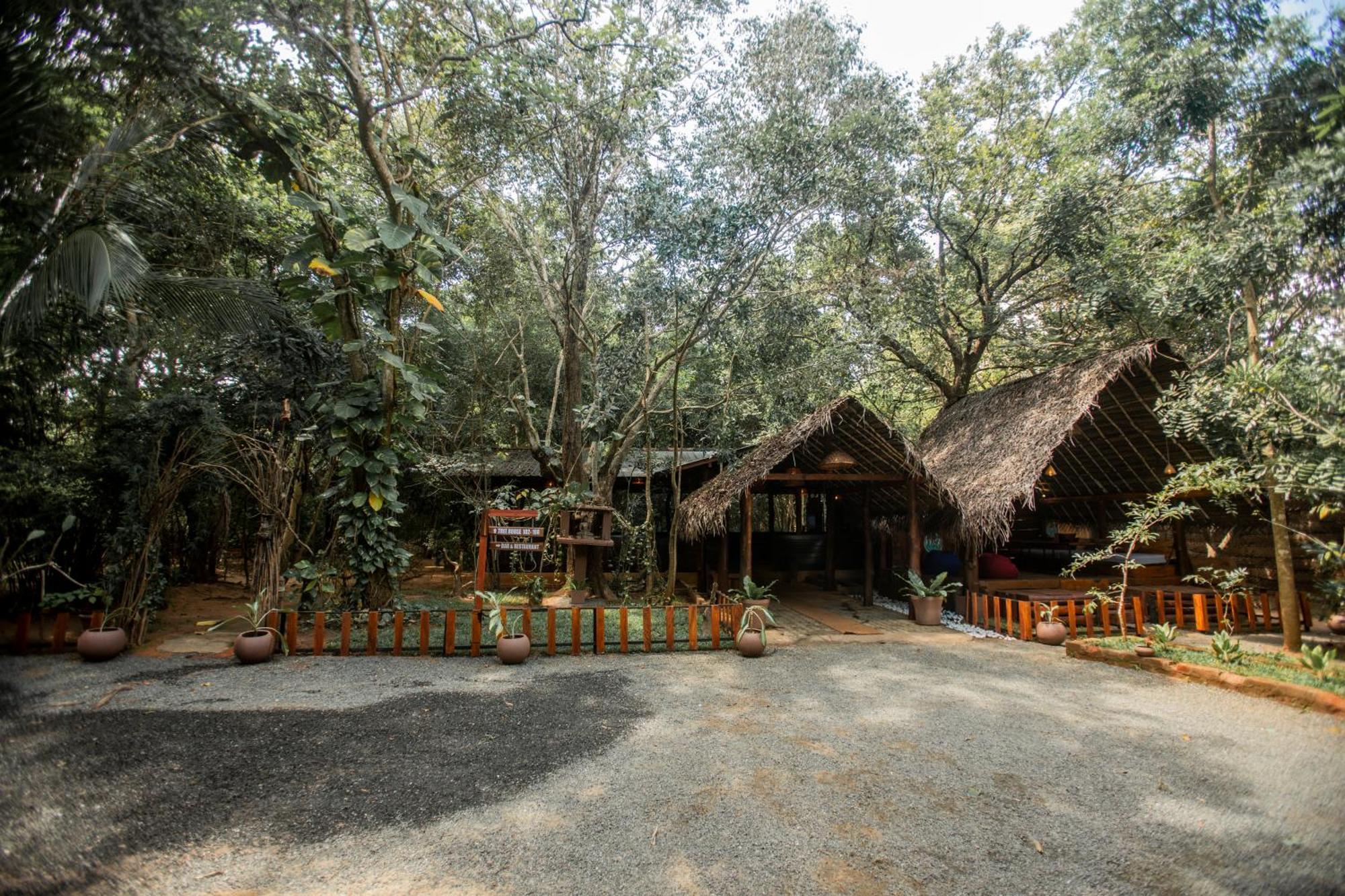Inn On The Tree Eco Resort Sigiriya Kibissa Zewnętrze zdjęcie
