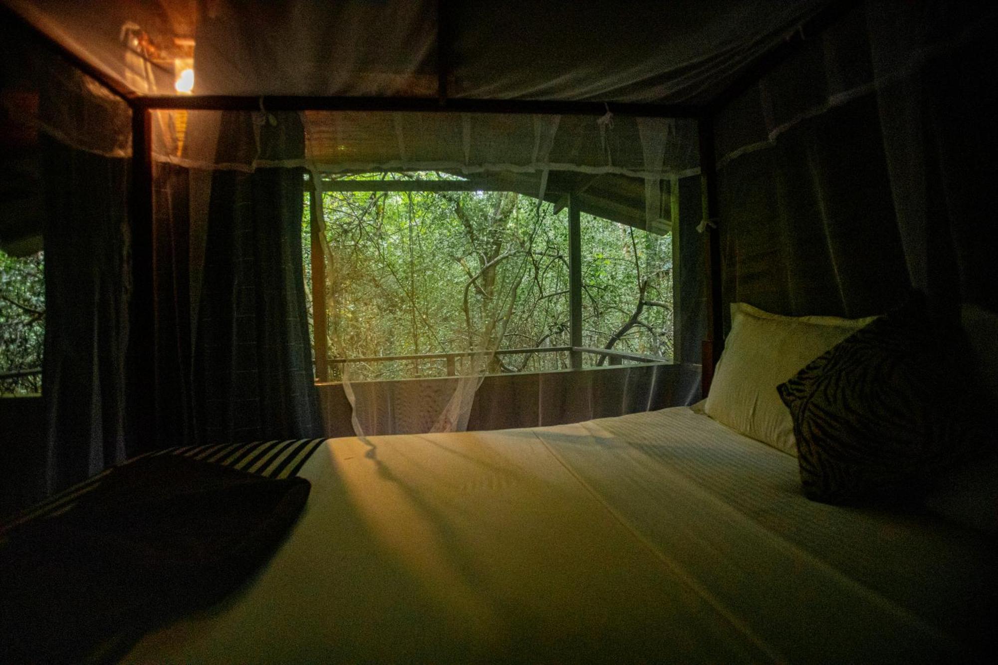 Inn On The Tree Eco Resort Sigiriya Kibissa Zewnętrze zdjęcie