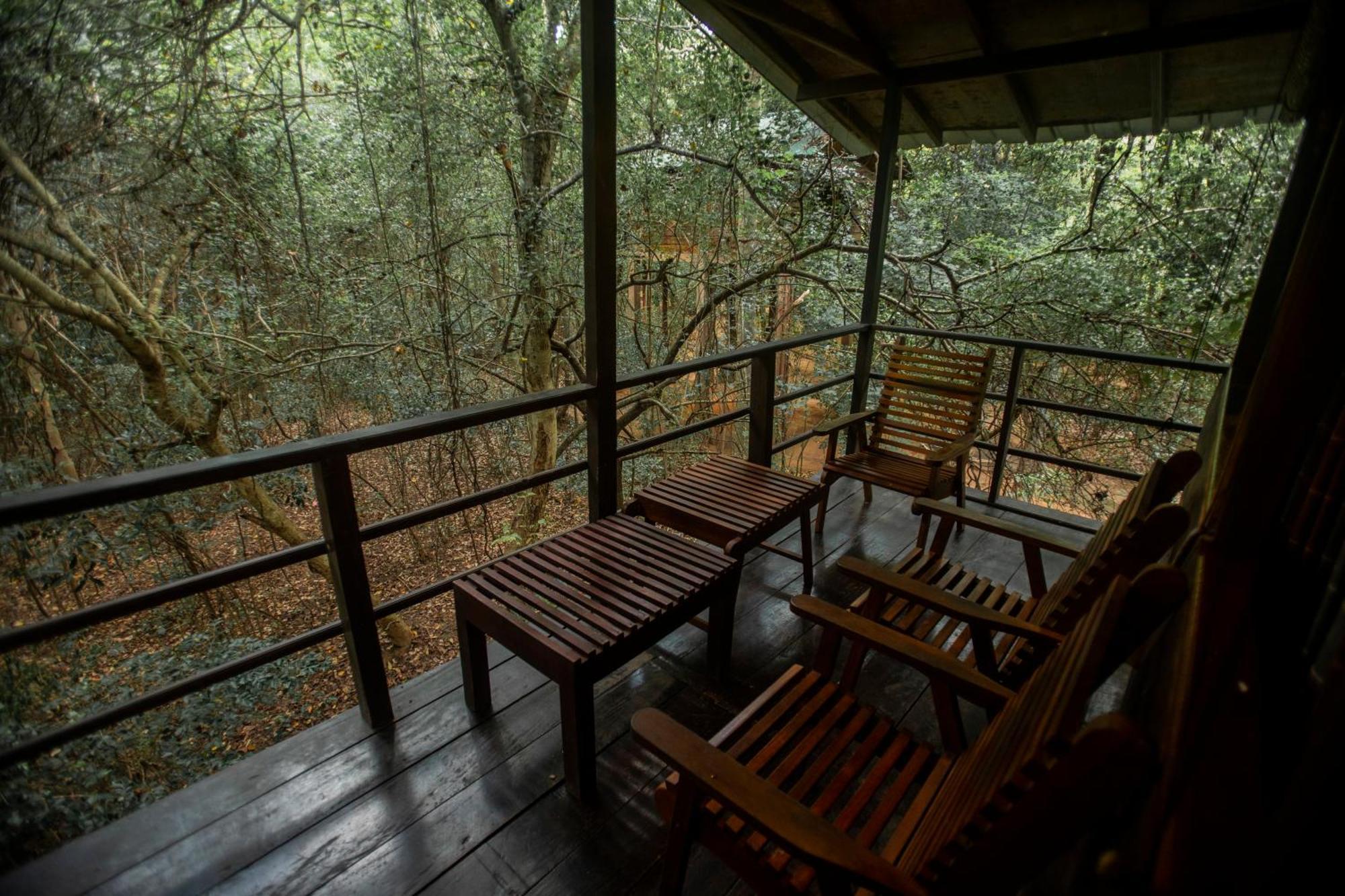 Inn On The Tree Eco Resort Sigiriya Kibissa Zewnętrze zdjęcie
