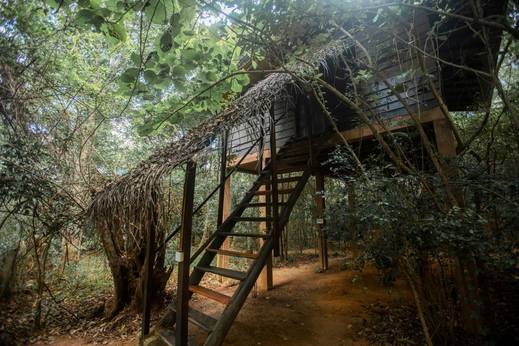 Inn On The Tree Eco Resort Sigiriya Kibissa Zewnętrze zdjęcie